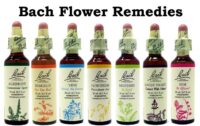 Bach Flower Remedies - BachFlower.com