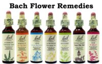 Bach Flower Essences