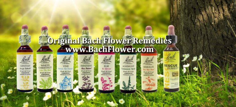 Bach Flower Remedies Education