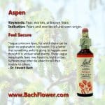 Bach Flower Remedies Aspen