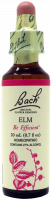 Bach Flower Remedy Elm