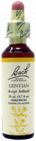 Bach Flower Remedy Gentian