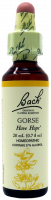 Bach Flower Remedy Gorse