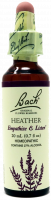 Bach Flower Remedy Heather