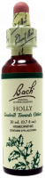 Bach Flower Remedy Holly