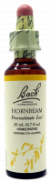 Bach Flower Remedy Hornbeam