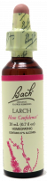 Bach Flower Remedy Larch