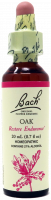 Bach Flower Remedy Oak