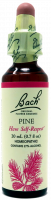 Bach Flower Remedy Pine