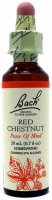 Bach Flower Remedy Red Chestnut