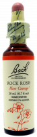 Bach Flower Remedy Rock Rose