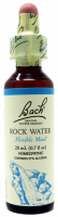 Bach Flower Remedy Rock Water