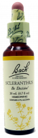 Bach Flower Remedy Scleranthus