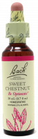 Bach Flower Remedy Sweet Chestnut