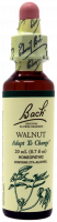 Bach Flower Remedy Walnut