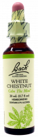 Bach Flower Remedy White Chestnut
