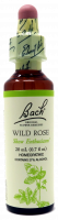 Bach Flower Remedy Wild Rose