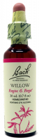 Bach Flower Remedy Willow