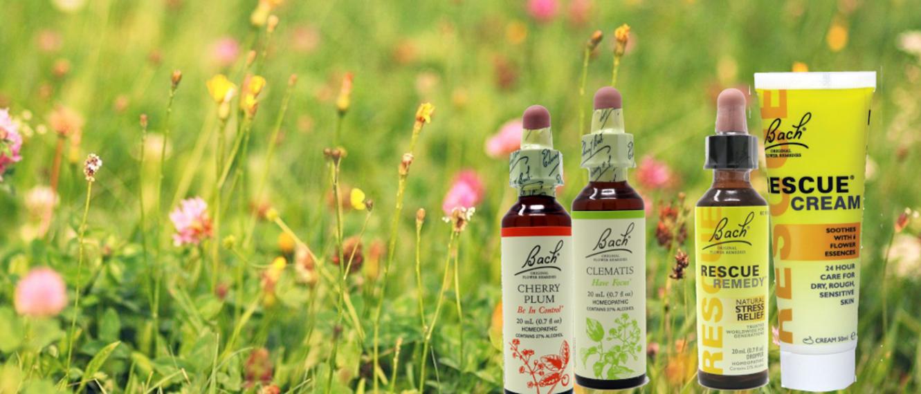 Original Bach Flower Remedies