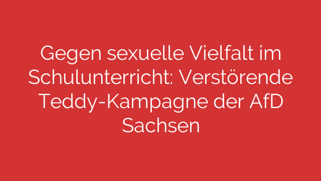 Gegen sexuelle Vielfalt im Schulunterricht: Verstörende Teddy-Kampagne der AfD Sachsen