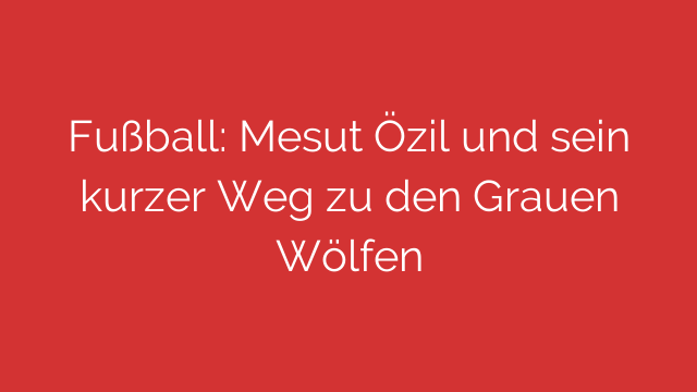 Fußball: Mesut Özil und sein kurzer Weg zu den Grauen Wölfen