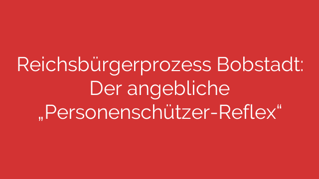 Reichsbürgerprozess Bobstadt: Der angebliche „Personenschützer-Reflex“