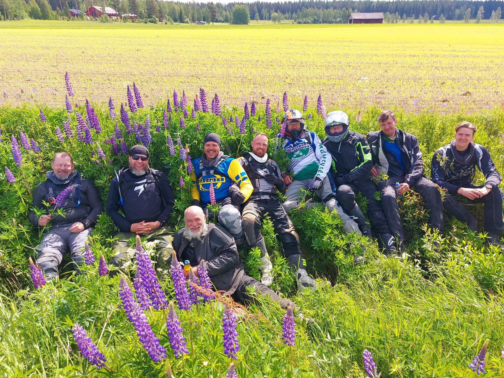 Offroad förare tar bild bland lupiner