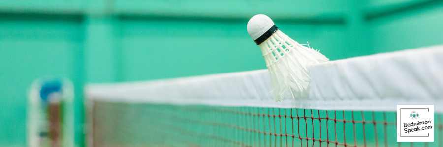 Badminton net shot