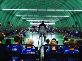 Badminton league Denmark