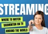 badminton tv and streaming coverage