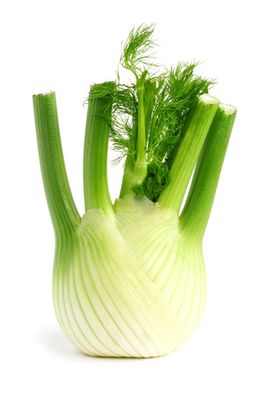 Fenchel-Jessmine-Fotoliaid49877241