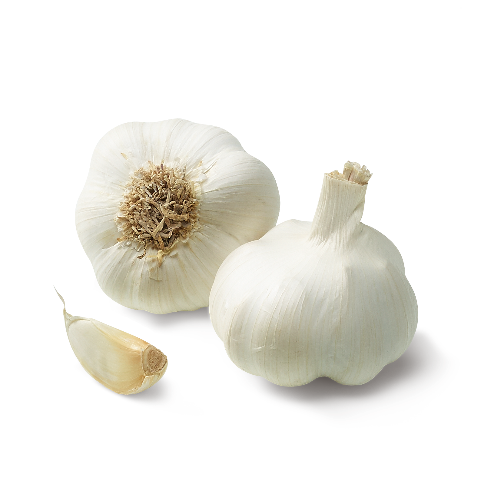 knoblauch_020919