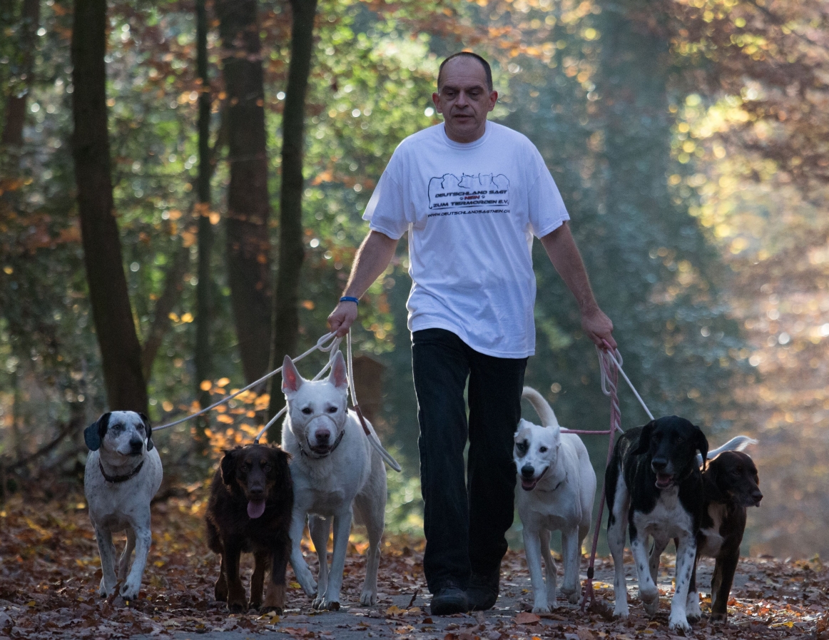 Packwalk-Herbst