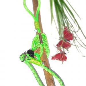Retriever Leine *Fresh Green Line*