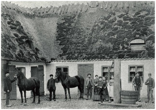 Bønder med heste på gårdsplads år 1900