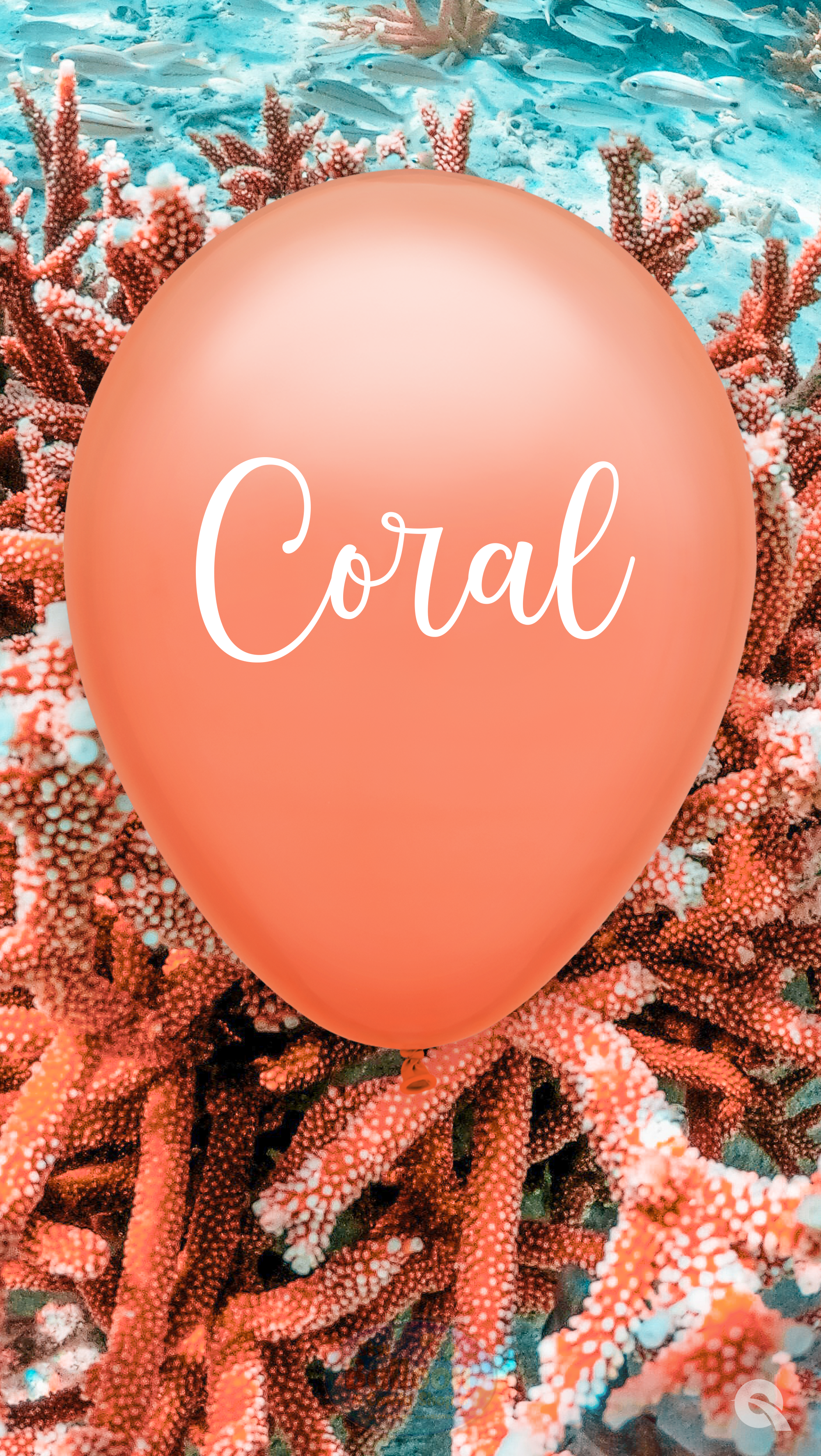 Coral