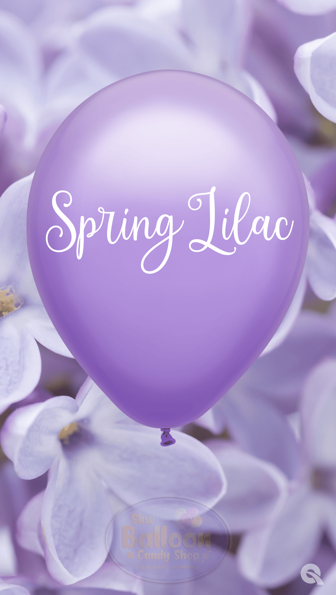 Spring Lilac