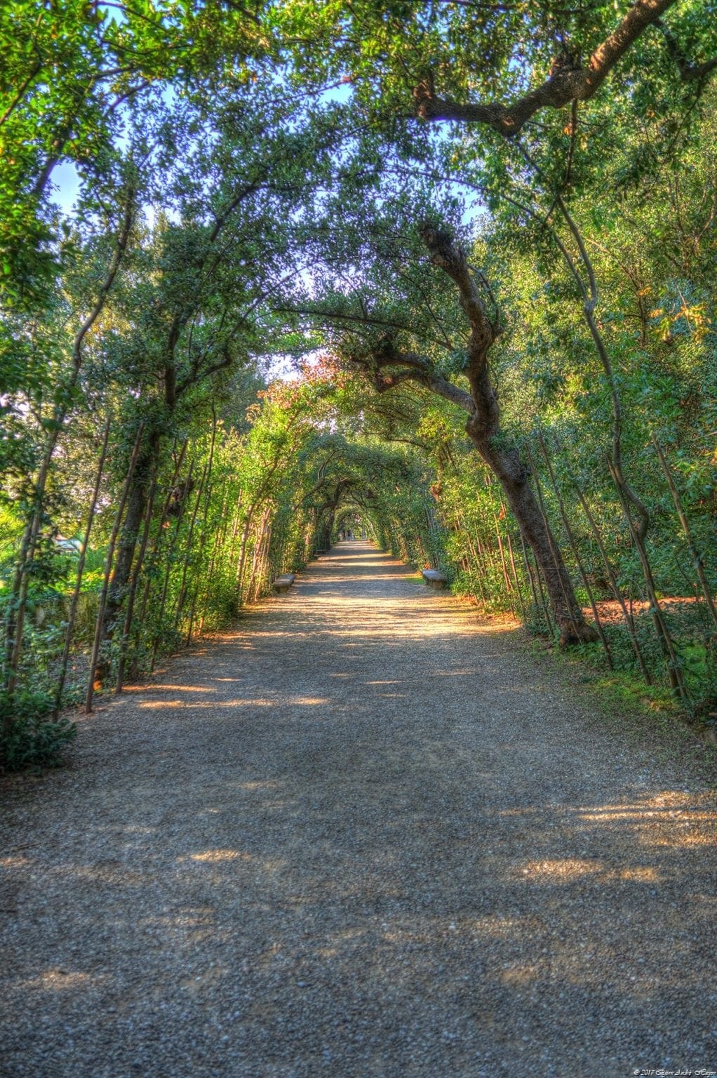 Florence Boboli park