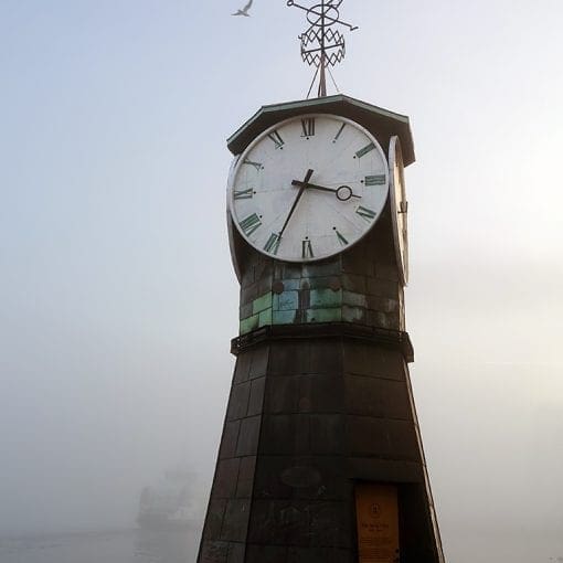 Time flies says the bird to the boat