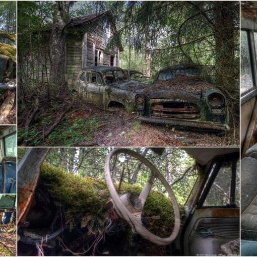 Collage_HD 2019-06-08 13_27_35