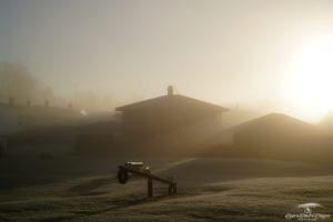 Foggy playground