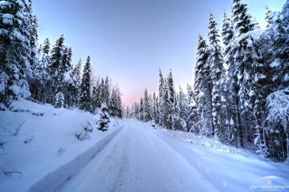 Winter road January 21