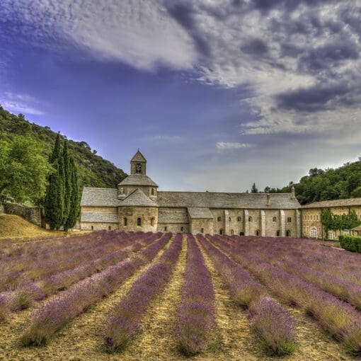 Abbaye Notre-Dame de Sénanque