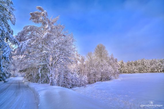 The-winter-road-Januar-2022-#2