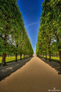 Jardin-du-Luxembourg-April-2023