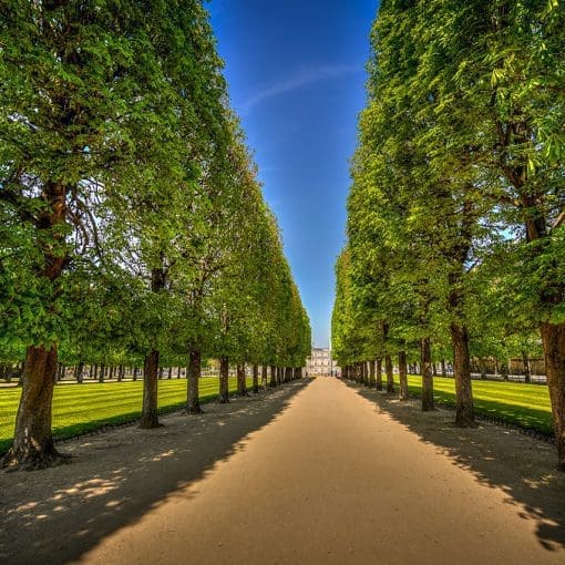 Jardin-du-Luxembourg-April-2023