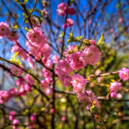 Paris-Spring-April-2023-#1