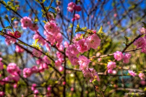 Paris-Spring-April-2023-#1