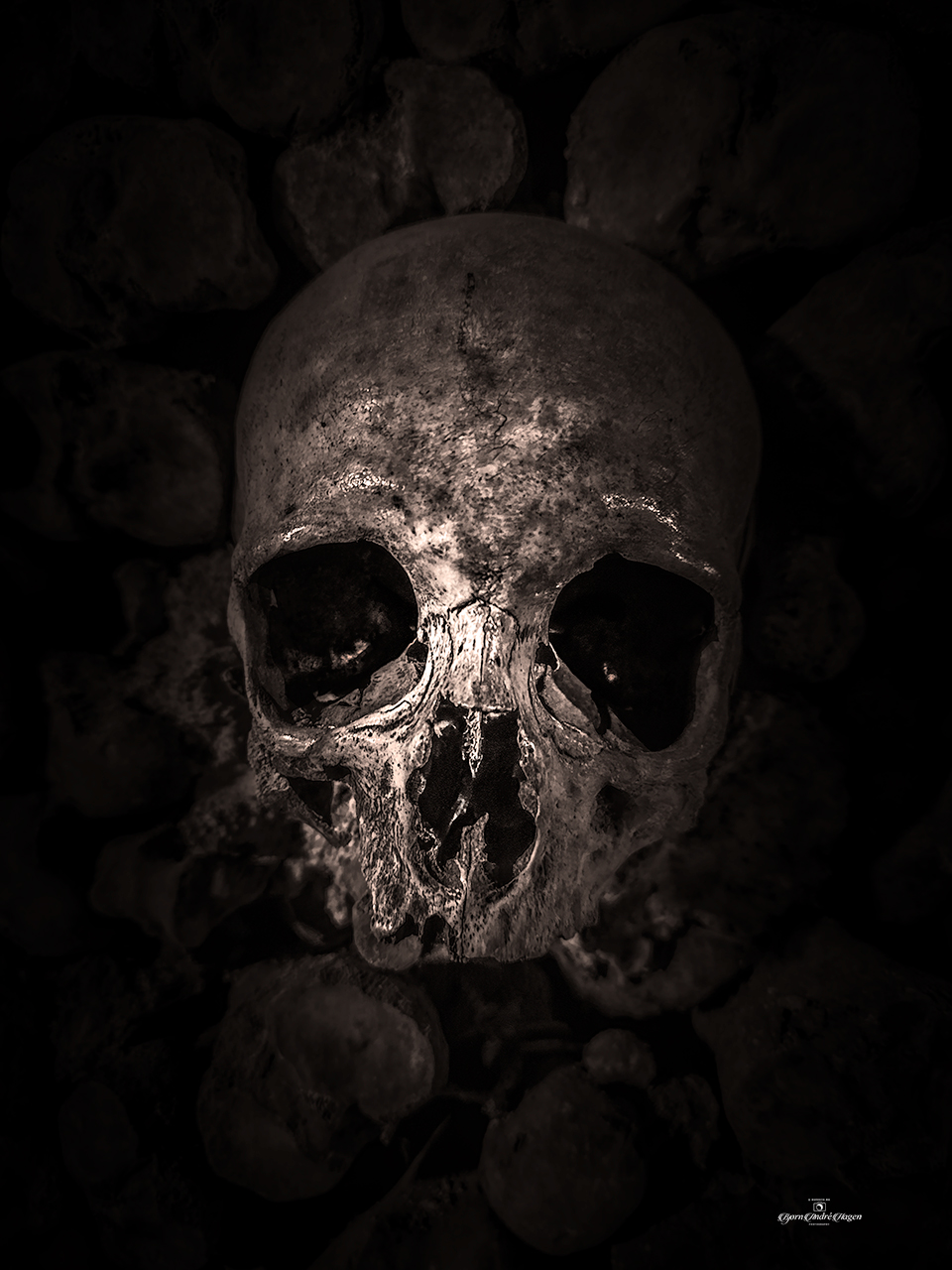 Skull-Paris-April-23-#1