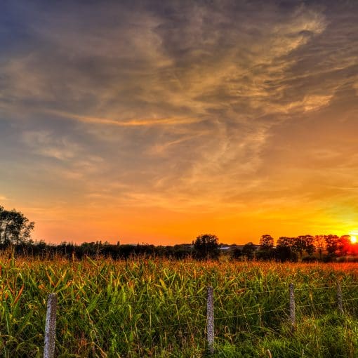 Sunset-Over-Ypres-battlefield